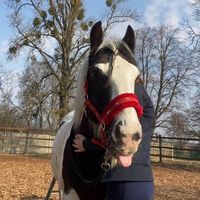 _equestrianriding_