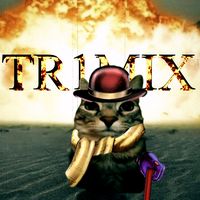 оригинальный звук - TR1MIX