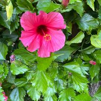 mecool04
