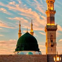 hafizsalman660
