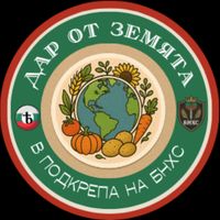 edinaka_06