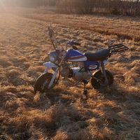 spraymaaliracing