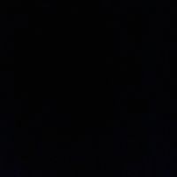 xqxzi_andreea