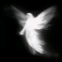 original sound - ☆
