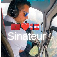 sinateur8