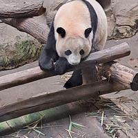 lucie_6351