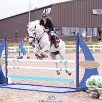 anabelshowjumping
