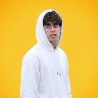 الصوت الأصلي