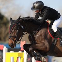 matilde.gaglioti