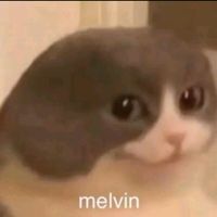stupixkun