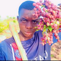 konate.boualye