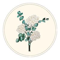 fannyetlesfleurs