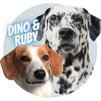 dino.and.ruby