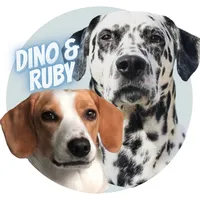 original sound - dino.and.ruby