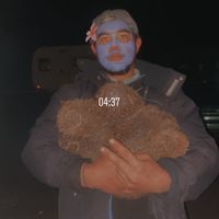 bruce.lagrenee5