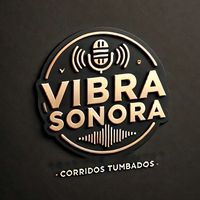 vibrasonora01