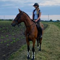 zararose.eq