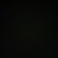 florin._.444