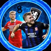 borofan33