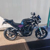 rom_inus