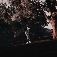 auksyte1327