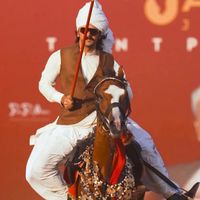 horsesofpakistan1