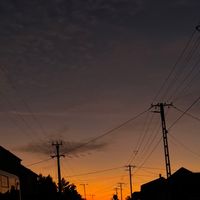 eredeti hang