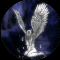 andreiq777