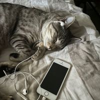 two