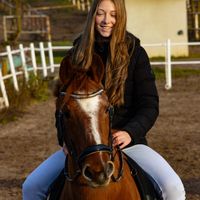 charly_ponys_