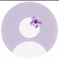 eritrawit_7