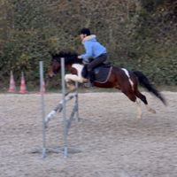 equestrian_passion_