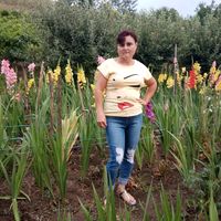 petronela.pe