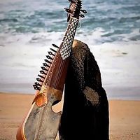 musico533