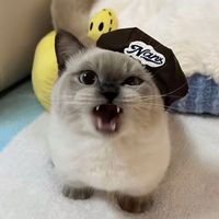 fu_qin_boi_ling