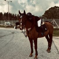 eq_jo