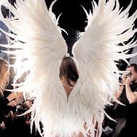 aesthetics_by.v