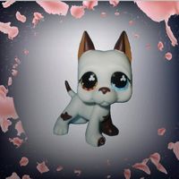 mr.koko.lpss