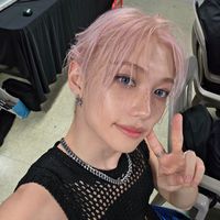 skz.collection