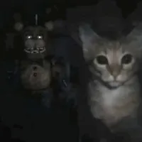 original sound - terr_rist