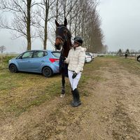 ridsport_tindra4