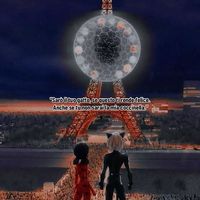 _ladybug.e.chatnoir_