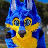 teezikthunderwolf