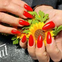 alnail82