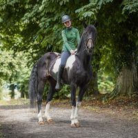 cobythehorse