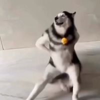 оригинальный звук