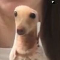 melianaandreas24
