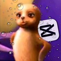 snouts_the_seal