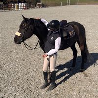 equi_fiona