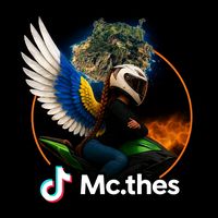 mc.thes